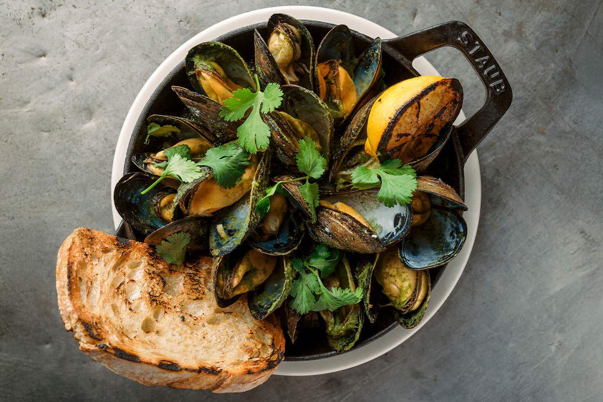 Mussels topped with parsley, with a grilled half of lemon and a piece of toast on the side. 
